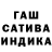 Марихуана гибрид Katia Ku