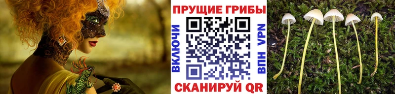 купить наркотик  Тырныауз  Галлюциногенные грибы мухоморы 